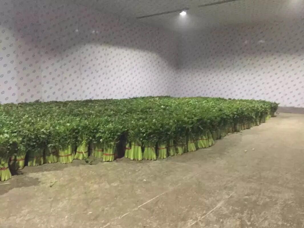 西安冷庫設備銷售